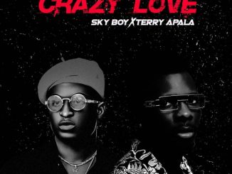 Skyboy ft. Terry Apala – Crazy Love