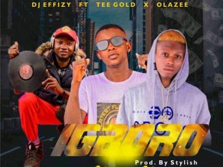 DJ Effizy ft. Tee Gold Olazee — Igboro Prod. Stylish