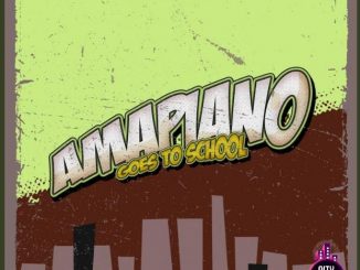 Download De PartyAnimals — Amapaino Goes To School Comp