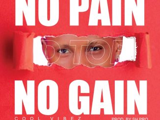 Dtop — No Pain No Gain