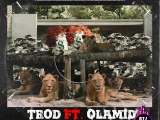 Trod — Shey You Fit Go ft. Olamide