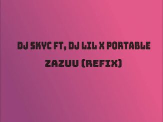 DJ Skyc ft. DJ Lil Portable — Zazuu Refix