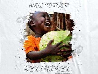 Wale Turner — Gbemidebe