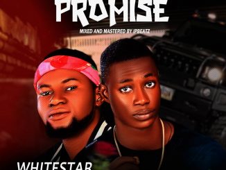 White Star ft. Paladin — Promise