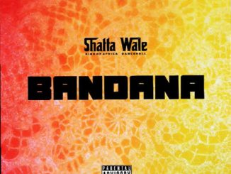 Shatta Wale — Bandana