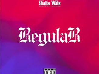Shatta Wale — Regular