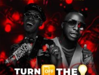 Toby Shang ft. DJ Kaywise — Turn Off The Light