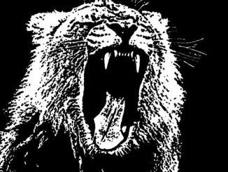 Dillon Francis DJ Snake Martin Garrix GTA — Animals Get Low in The Crowd Gregg Mashup
