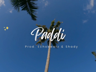 Echobeatz Shady — Paddi Instrumental