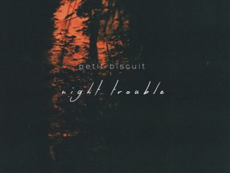 Petit Biscuit — Night Trouble