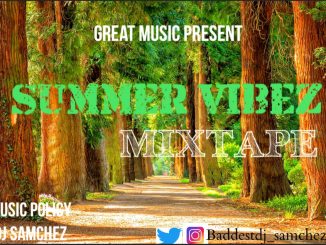 DJ Samchez — Summer Vibez Mix