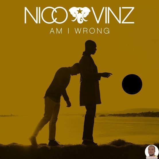 Nico Vinz — Am I Wrong