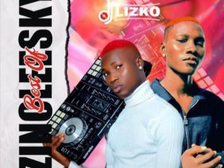 DJ Lizko — Best Of Zinoleesky Mix