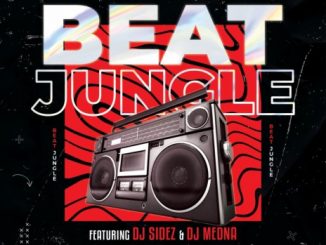 DJ Sidez — Beat Jungle ft. DJ Medna