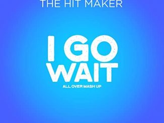 The Hit Maker — I Go Wait Magixx All Over Mashup