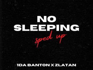1da Banton ft. Zlatan — No Sleeping Sped Up