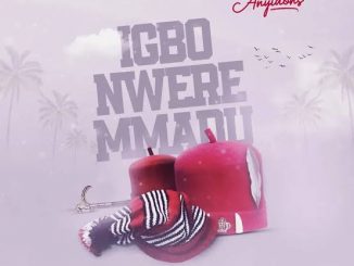 Anyidons — Igbo Nwere Mmadu