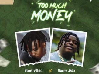 Elino Vibes Barry Jhay — Too Much Money