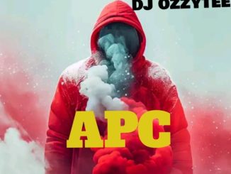 Naijastreamloded DJ Ozzytee — APC Cruise Beat