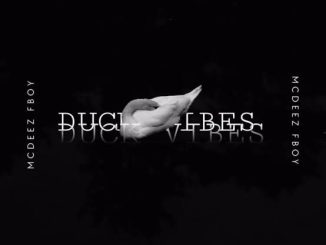 Vibekulture SA Mcdeez Fboy — Duck Vibes