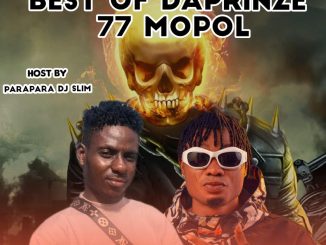 Parapara DJ Slim — Best Of Daprinze 77 Mopol Mix