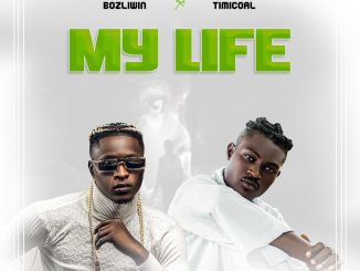 Bozliwin ft. Timicoal — My Life