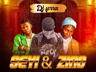 DJ Ferra — Best Of Seyi Vibez Zinoleesky Mix