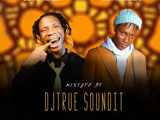 DJ TrueSoundit — Seyi Vibez Zinoleesky Mix