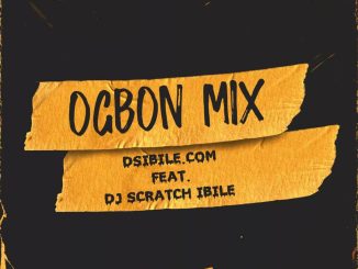 Dsibile.com ft. DJ Scratch Ibile — Ogbon Mix