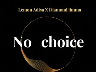 Lemon Adisa Diamond Jimma — No Choice