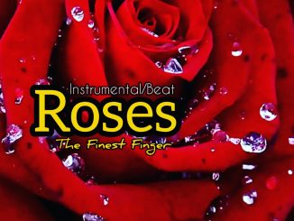 Don Dizy — Roses Instrumental