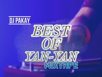 DJ Pakay Best Of Yan Yan Mix
