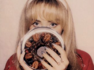 Download Sabrina Carpenter – fruitcake Album