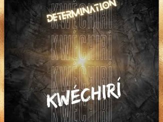 Determination Kwechiri