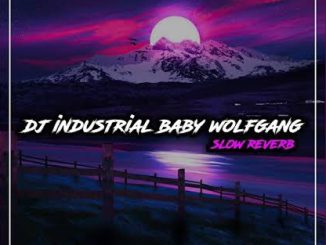 HRSDN DJ Industrial Baby Wolfgang Slow Reverb