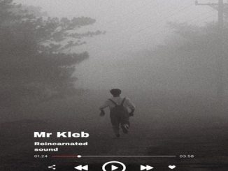 Mr Kleb Reincarnated Sound